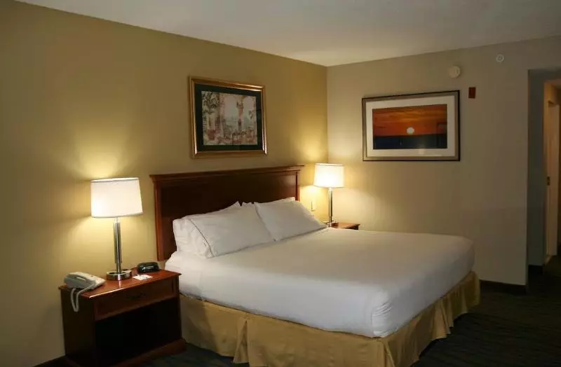 キングサイズベッドのスタンダードルーム, Holiday Inn Express Hotel & Suites Brooksville West By Ihg