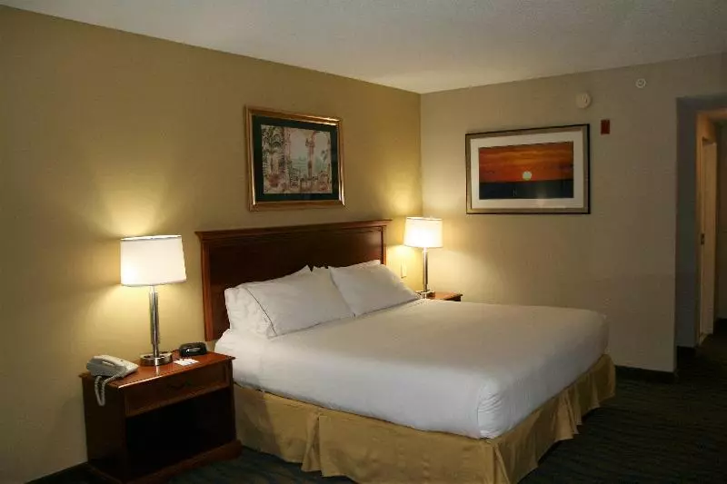 キングサイズベッドのスイートルーム, Holiday Inn Express Hotel & Suites Brooksville West By Ihg