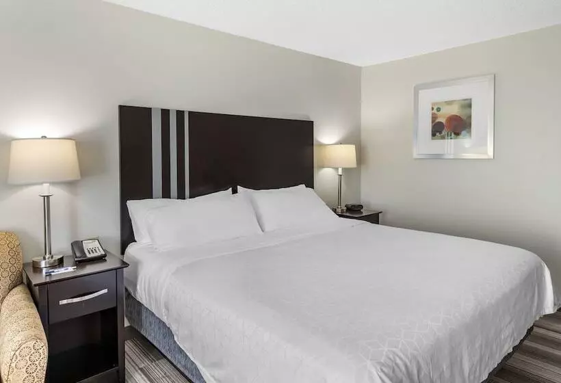 スタンダードルーム, Holiday Inn Express Hotel & Suites Cincinnati Blue Ash, An Ihg