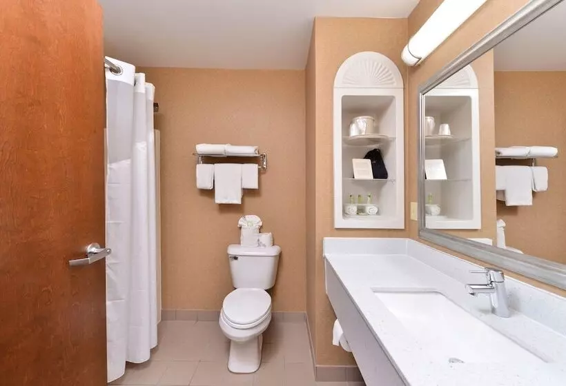 スタンダードルーム, Holiday Inn Express Hotel & Suites Cincinnati Blue Ash, An Ihg
