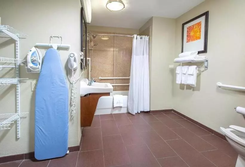 اتاق استاندارد با تخت بزرگ برای معلولان, Staybridge Suites Augusta, An Ihg