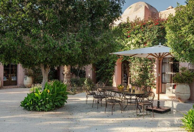 ویلای 4 خوابه, Le Jardin Des Douars