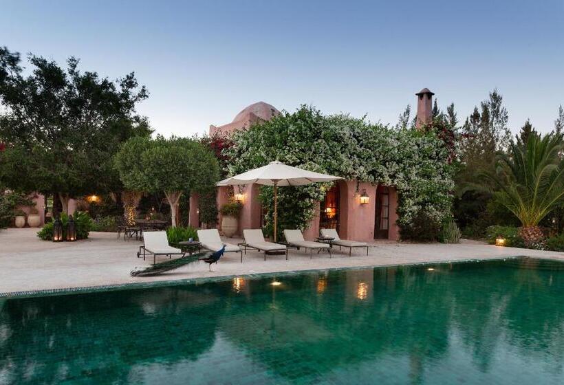 ویلای 4 خوابه, Le Jardin Des Douars