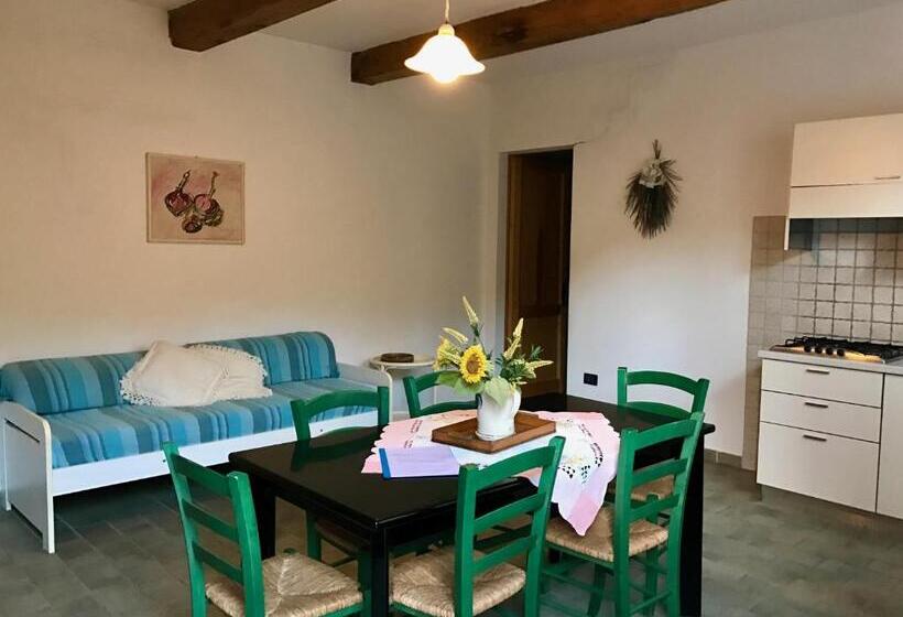 آپارتمان 1 خوابه همکف, Casale San Giovanni