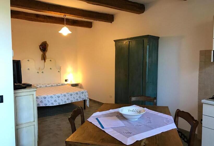 استودیوی استاندارد, Casale San Giovanni