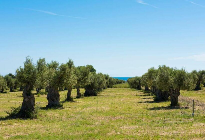 דירת שני חדרים, Dattilo