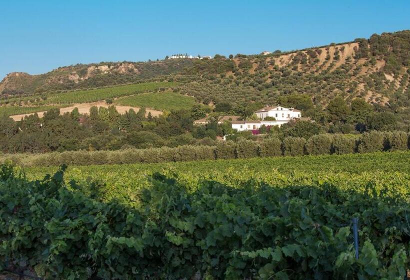 חדר סופריור עם מיטת קינג, Dattilo