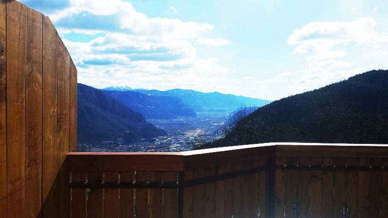 Апартаменты 1 Спальня с Террасой, Haflingerhof