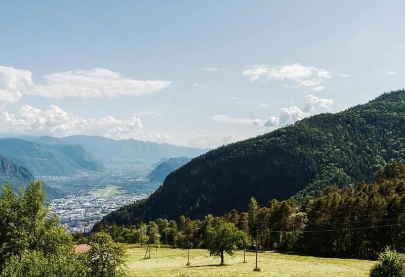 Апартаменты 1 Спальня с Видом, Haflingerhof