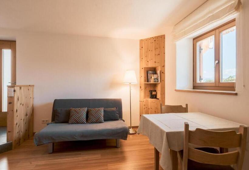آپارتمان 1 خوابه با تراس, Haflingerhof