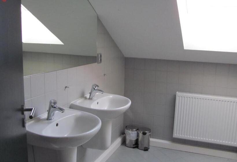 Номер Economy с общей ванной комнатой, U Tří Volů