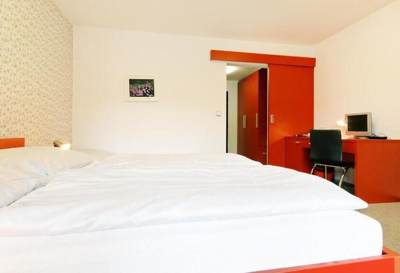 Трехместный Номер Стандарт с Балконом, U Tří Volů