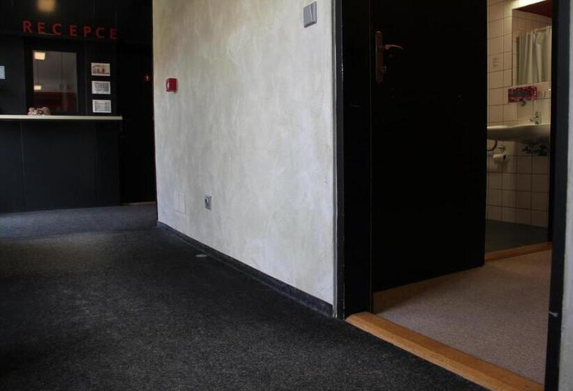 Номер Стандарт Адаптированный для Инвалидов, U Tří Volů