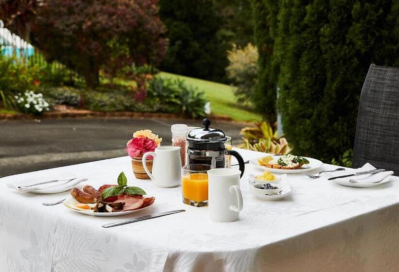 Quarto standart vista jardim, A View Of Mount Warning
