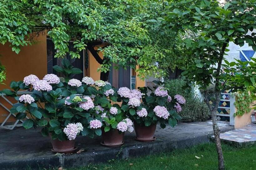 ファミリーステューディオ, L'antica Cantina