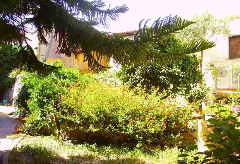 ファミリーステューディオ, L'antica Cantina