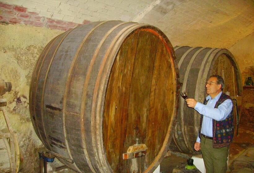 ファミリーステューディオ, L'antica Cantina