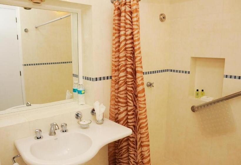 Standaard Éénpersoonskamer, Hostería Del Parque