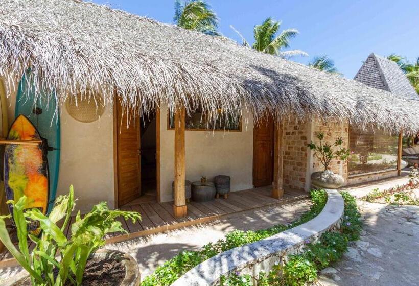 标准间, Seed Resort