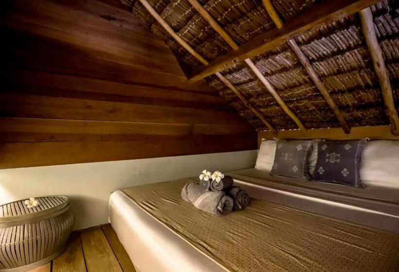 标准间, Seed Resort