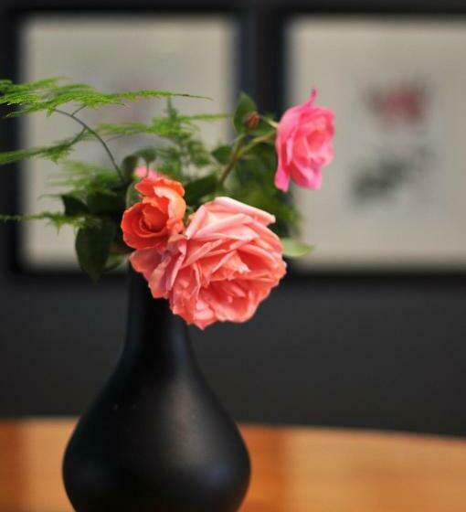 كابينة, Blueberry Hill Cottages