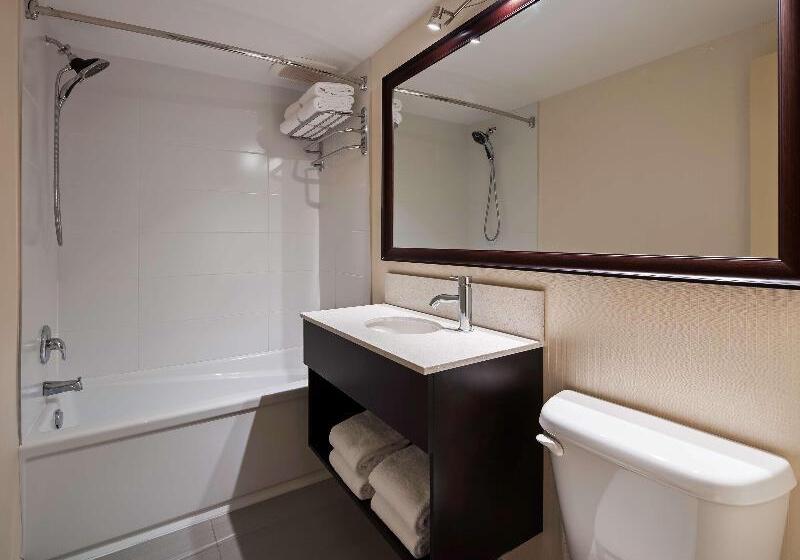 Номер Deluxe, Istanbul Airport Express