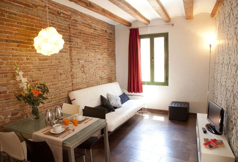 آپارتمان 1 خوابه, Apartaments Ciutat Vella