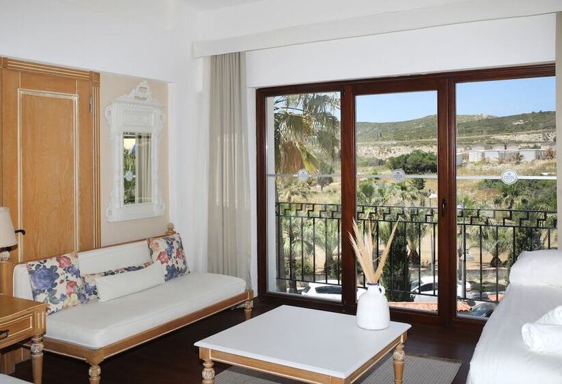 اتاق لوکس, Cocos The Club Solto