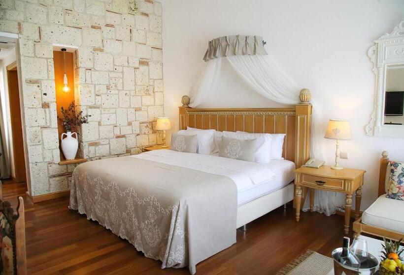 اتاق استاندارد با تخت بزرگ, Cocos The Club Solto