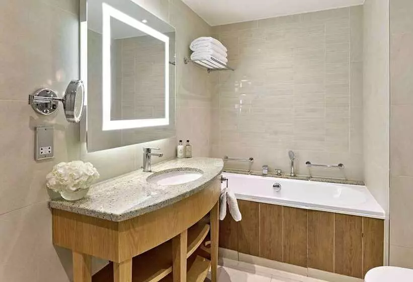 سوئیت اجرایی با تخت کینگ, Hilton Frankfurt Airport