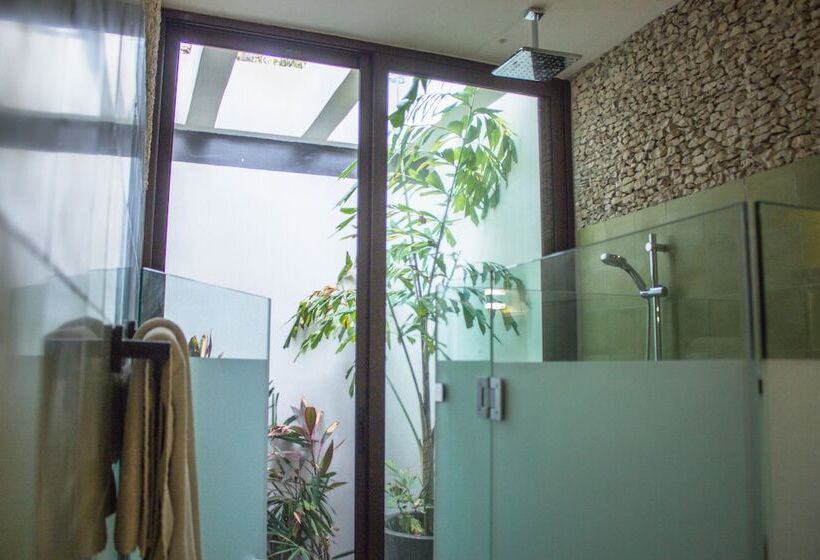 חדר סופריור, Marionetas