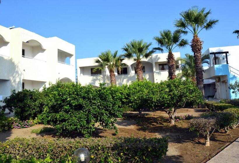 غرفة قياسية, Muses