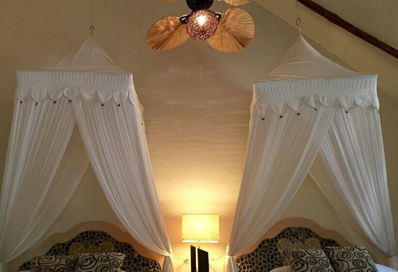 ジュニアスイート, Okaan