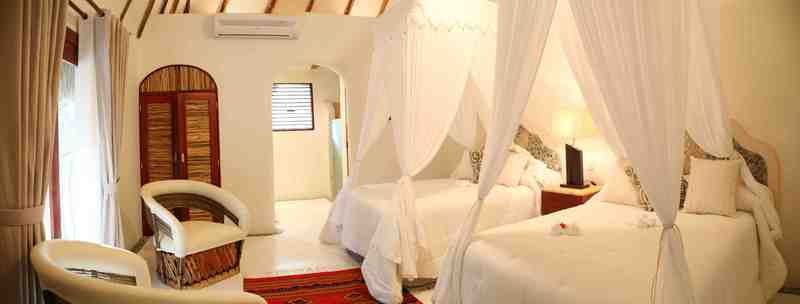 ジュニアスイート, Okaan