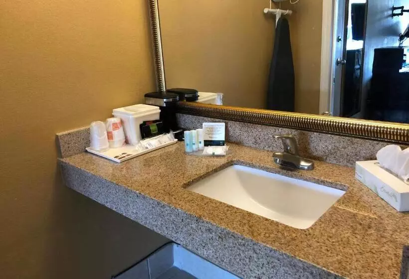 プールビュースタンダードルーム, Quality Inn Alachua  Gainesville Area