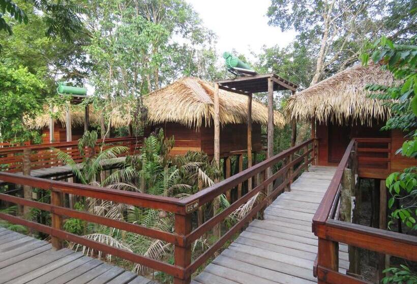 标准间, Juma Amazon Lodge
