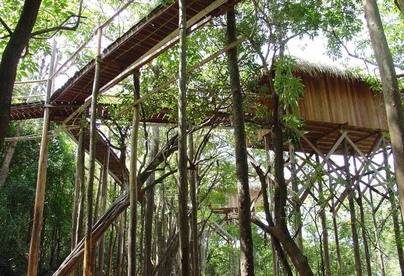 Superior room with lake view, Juma Amazon Lodge