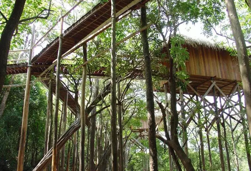 Superior Zimmer mit Seeblick, Juma Amazon Lodge