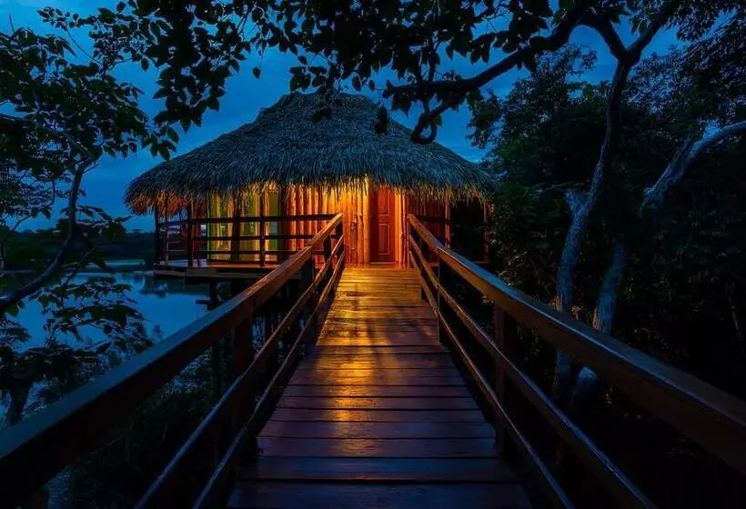 Deluxe Zimmer Kingsize Bett, Juma Amazon Lodge