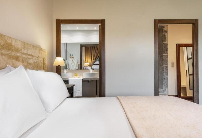 Номер Deluxe Одноместный, áurea Palacio De Sober By Eurostars Hotel Company