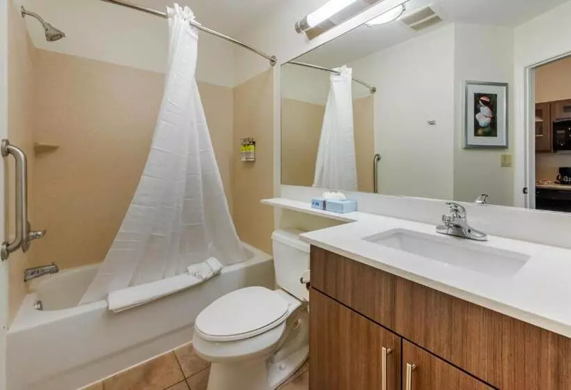 スタンダードスタジオ, Candlewood Suites Fort Myers Interstate 75, An Ihg