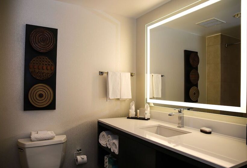 חדר סטנדרט, Embassy Suites By Hilton Houston Energy Corridor