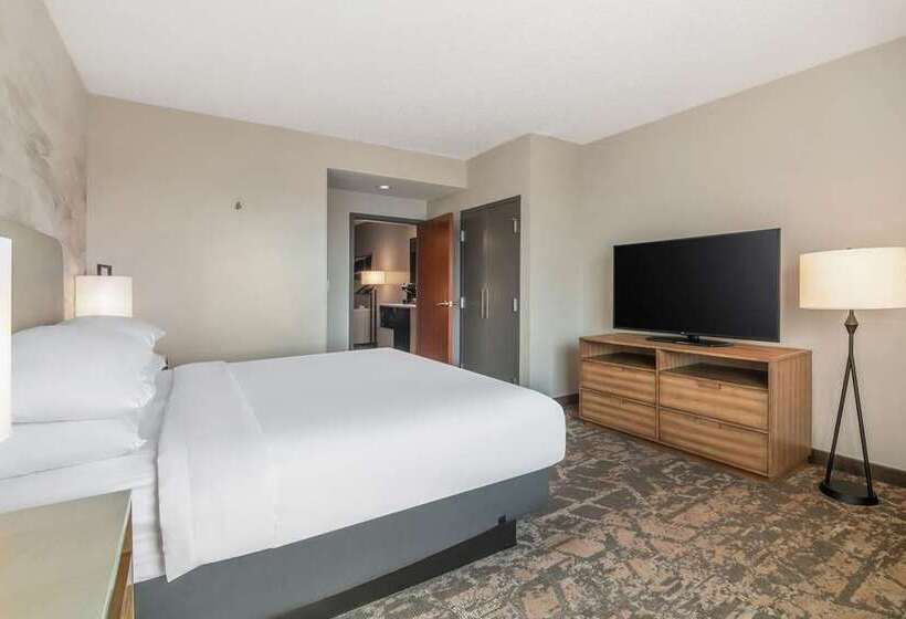 חדר סטנדרט, Embassy Suites By Hilton Houston Energy Corridor