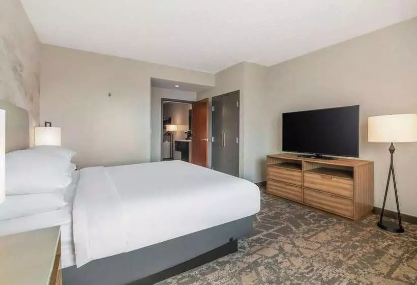 スタンダードルーム, Embassy Suites By Hilton Houston Energy Corridor