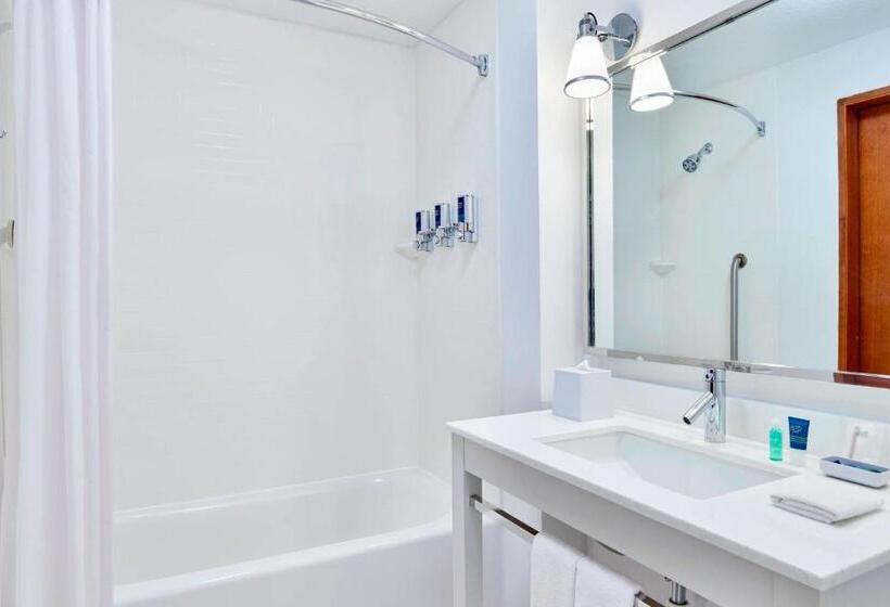 高级大房间, Four Points By Sheraton Jacksonville Baymeadows