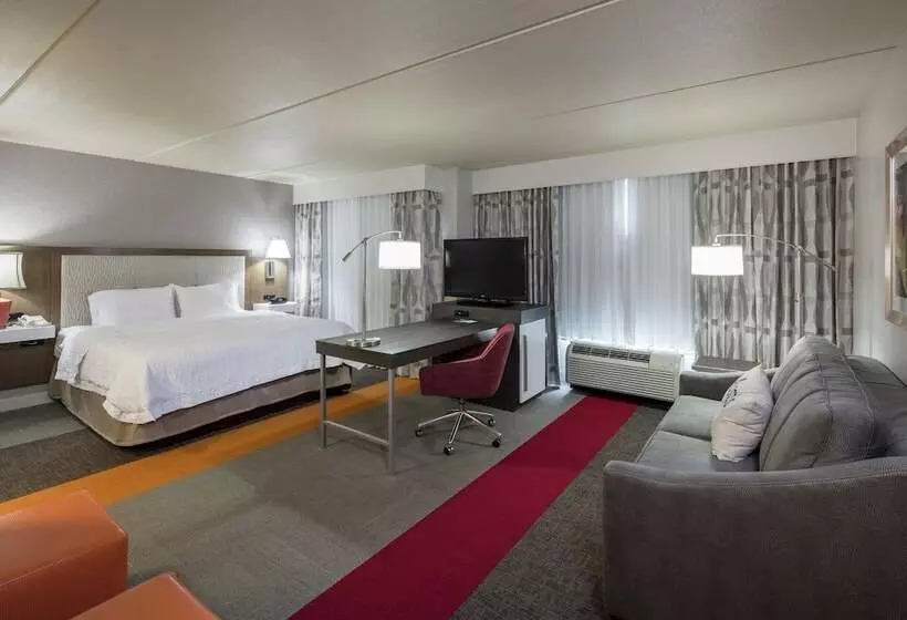 استودیوی استاندارد با تخت دوبل, Hampton Inn & Suites Austin Cedar Parklakeline