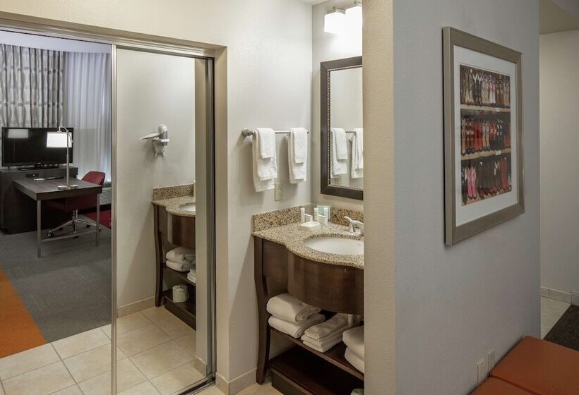 带双人床的标准工作室, Hampton Inn & Suites Austin Cedar Parklakeline