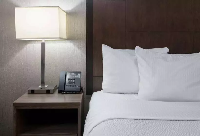 デラックスルーム, La Quinta By Wyndham Fairbanks Airport