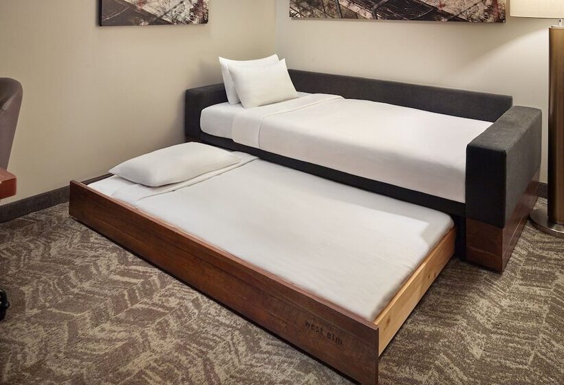 Люкс Адаптированный для Инвалидов, Springhill Suites By Marriott Atlanta Airport Gateway