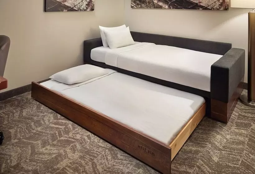 身障者適用スイートルーム, Springhill Suites By Marriott Atlanta Airport Gateway
